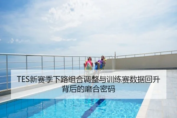 TES新赛季下路组合调整与训练赛数据回升背后的磨合密码